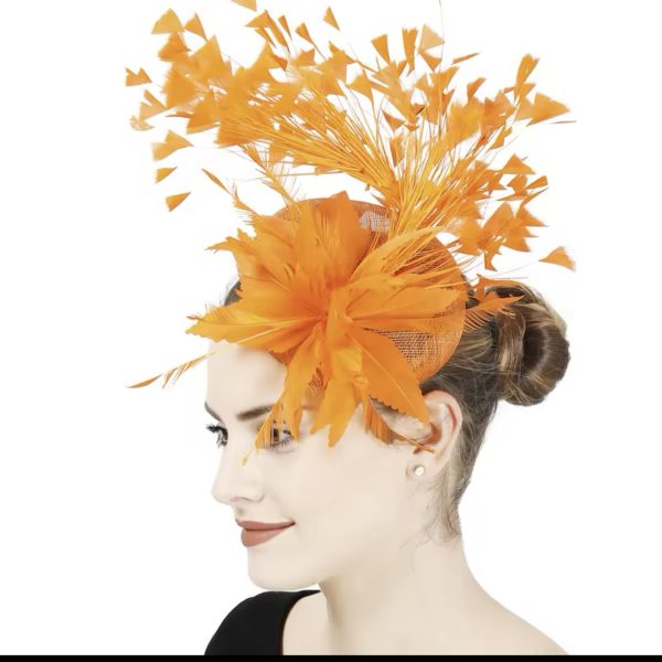 Fascinator hats