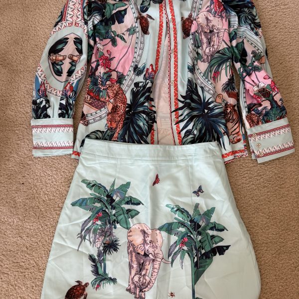 Mini skirt 2pct outfits